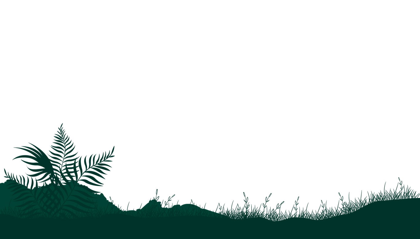 img7